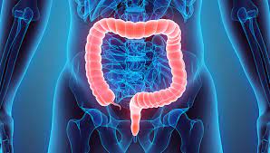 Colon and Rectal Surgeons